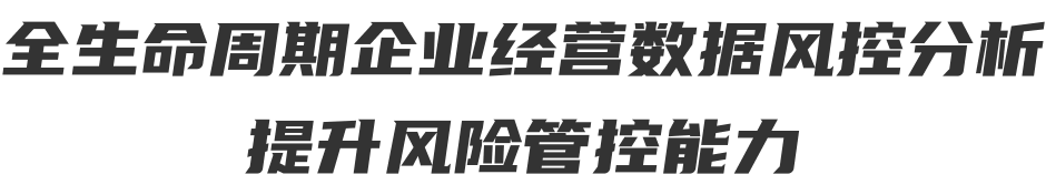 深度经验风险洞察，精准评估企业健康