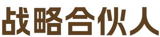 战略合伙人